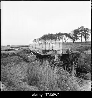 Mulini polvere Clapper Bridge, Dartmoor Devon, 1967. Creatore: Eileen Deste. Foto Stock