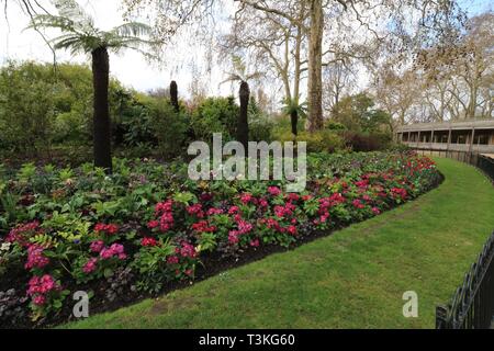 Flowerbed showing plants of assorted colours Foto Stock