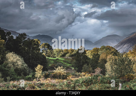 Alberi che crescono su di una collina baciata dal sole e moody sky sulla bellissima valle con nebbia.La gamma della montagna con picchi coperti da nuvole basse in background. Foto Stock