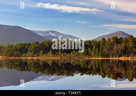 Loch Morlich e Cairngorm monti Cairngorms National Park vicino a Aviemore, Badenoch e Strathspey, Scotland, Regno Unito Foto Stock