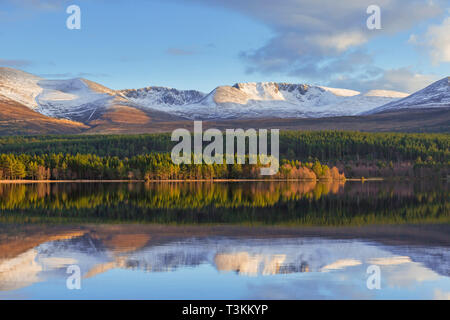 Loch Morlich e Cairngorm monti Cairngorms National Park vicino a Aviemore, Badenoch e Strathspey, Scotland, Regno Unito Foto Stock