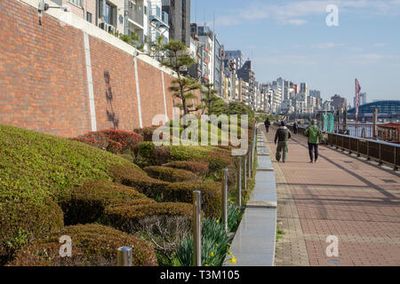 Vi era molta vegetazione a Asakusa goduto da sia tra la gente del posto e turisti che è venuto fuori per passeggiate o jogging sulle rive del fiume Sumida. Foto Stock