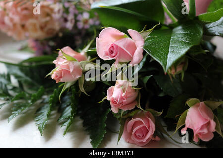 Un bel bouquet di rose rosa Foto Stock