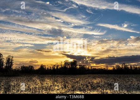Paesaggio tramonto sul lato est di Okefenokee Swamp rifugio. Foto Stock