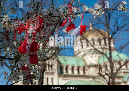 Martenitsi appeso al ramo di un albero esterno Cattedrale Alexander Nevski, Sofia, Bulgaria, l'Europa. Foto Stock