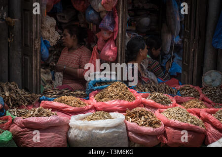 Le donne vendono pesce essiccato dal rosso sacchi di plastica, motivo tol, Kathmandu, Nepal Foto Stock