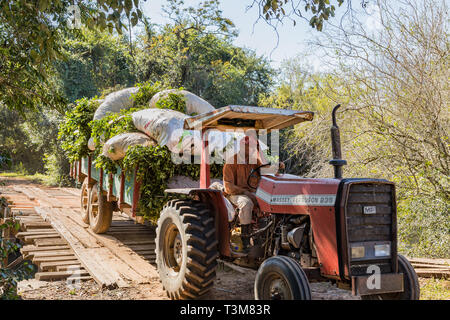 Colonia Independencia, Paraguay - June 20, 2018: Farmer with tractor in Paraguay drives over a winding wooden bridge. Foto Stock