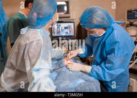 Veterinario o ai medici di fare un intervento chirurgico in clinica. medicina, pet, animali, assistenza sanitaria e concetto di persone. Foto Stock