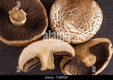 Gruppo di due interi due metà di fresco funghi marrone portobello flatlay sulla pietra grigia Foto Stock