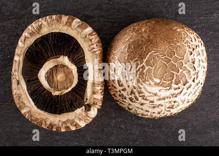 Gruppo di due intero crudo fresco di fungo marrone portobello vista ventrale flatlay sulla pietra grigia Foto Stock