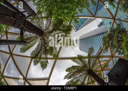 Luogo Crossrail giardini sul tetto, cercando fino al Canary Wharf grattacieli, Londra Foto Stock