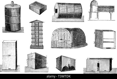 Set di antichi disegni vettoriali o incisioni di vintage illustrazioni di vari alveari o alveari e apicoltura tools.Dal libro Neuester Illustrierter Bienenfreund, stampato in Leipzig, Germania 1852. Illustrazione Vettoriale