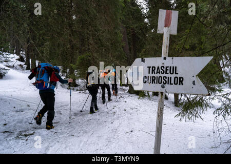 Un gruppo di alpinisti di ascendere e di raggiungere la sommità di una delle più spettacolari cime in Retezat National Park, Romania Foto Stock