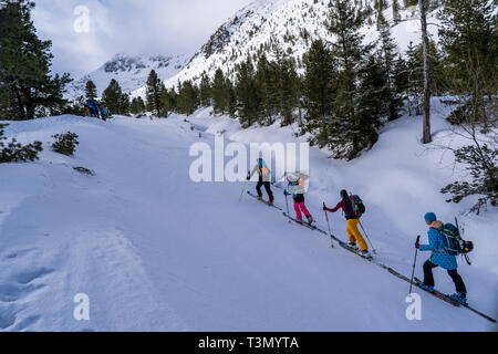 Un gruppo di alpinisti di ascendere e di raggiungere la sommità di una delle più spettacolari cime in Retezat National Park, Romania, il Vertice di Retezat sugli sci. Foto Stock