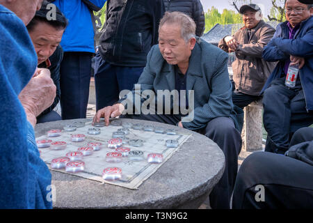 Gli uomini cinesi giocando Xiangqi (scacchi cinesi), Jinan, provincia di Shandong, Cina Foto Stock