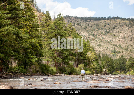 Pescatore a mosca in Colorado. Foto Stock