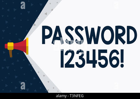 Parola di scrittura di testo Password 123456. Business photo vetrina parola segreta la frase deve essere utilizzata guadagnare l'ammissione al posto megafono che estende la capacità di Foto Stock