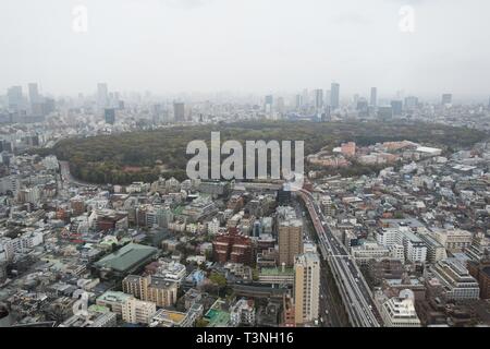 Vista di Tokyo, compresi, Yoyogi Park, dal lato sud del Park Hyatt Hotel. Foto Stock