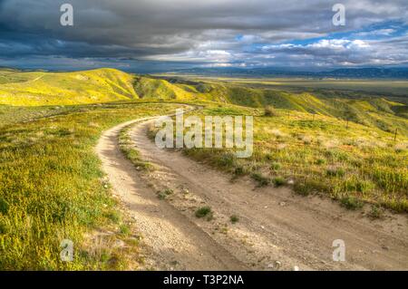 San Luis Obispo County, California, Stati Uniti d'America. 10 Aprile, 2019. Masse di fiori selvatici coprono normalmente colline sterili di Carrizo Plain monumento nazionale durante il super bloom Aprile 10, 2019 in San Luis Obispo County, California. Dopo diverse settimane di un sorprendente display super bloom è atteso a svanire come le temperature cominciano a salire nella regione. Credito: Planetpix/Alamy Live News Foto Stock