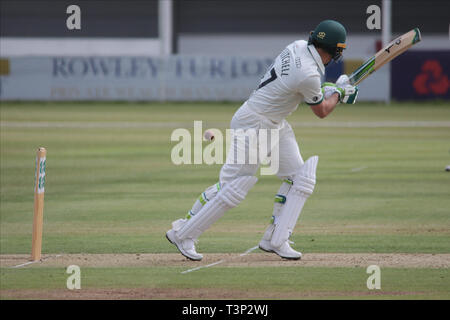 Leicester, Regno Unito. Xi Apr, 2019. Daryl Mitchell batting durante la contea Specsavers gara di campionato tra Leicestershire e Worcestershire a Grace Road, Leicester, Inghilterra il 11 aprile 2019. Foto di Giovanni Mallett. Solo uso editoriale, è richiesta una licenza per uso commerciale. Nessun uso in scommesse, giochi o un singolo giocatore/club/league pubblicazioni. Credit: UK Sports Pics Ltd/Alamy Live News Foto Stock