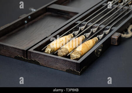 Chiudere le maniglie di lusso di grandi dimensioni in acciaio inossidabile set spiedini in una scatola di legno per grill e barbecue. Costosa alta qualità regalo esclusivo per uomo hunter Foto Stock