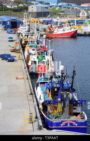 Barche da pesca in Lerwick Harbour, Lerwick, Shetland, isole del Nord, Scozia, Regno Unito Foto Stock