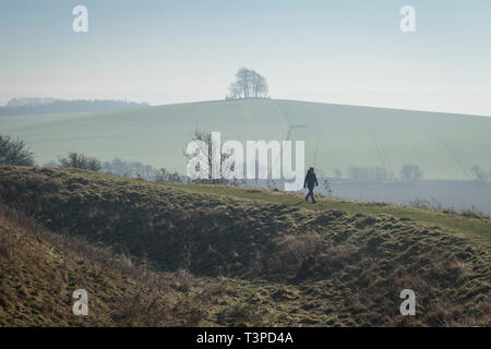 Un camminatore solitario sulla Collina del Castello, Wittenham grumi con l età del ferro Fort Brightwell Barrow all'orizzonte dietro Foto Stock