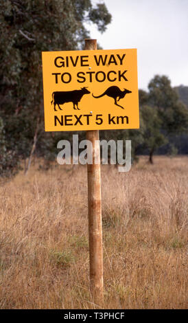 SEGNALE STRADALE CHE AVVISA I CONDUTTORI DI DARSI DA FARE A IL BESTIAME E AI KANGAROO CHE POTREBBERO ATTRAVERSARE QUESTA SEZIONE DELLA STRADA, NUOVO GALLES DEL SUD RURALE, AUSTRALIA. Foto Stock