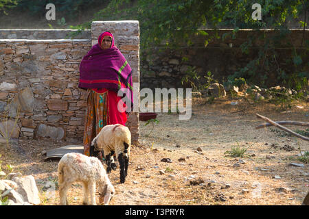 PUSHKAR, India - 21 novembre 2012: donna indiana in abito tradizionale lavorando sulle rovine Foto Stock