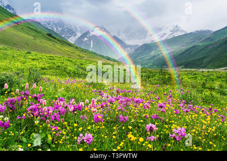 Rainbow in montagna. Paesaggio con fiori d'estate. Tempo soleggiato. Zemo Svaneti, Georgia, nel Caucaso Foto Stock