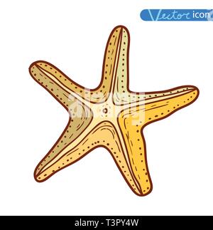 Set Starfishes .disegnati a mano illustrazione vettoriale Illustrazione Vettoriale