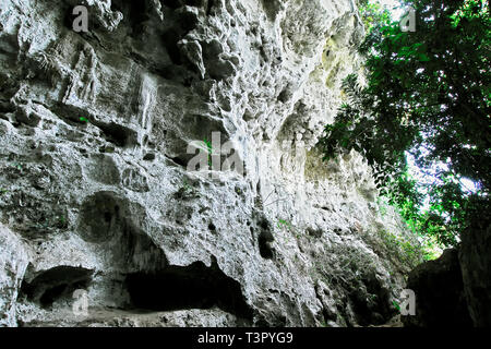 Penablanca, Cagayan Provincia, Filippine - 19 Maggio 2008: vicino all'ingresso al calcare Callao grotta con una chiesa costruita nella prima camera Foto Stock