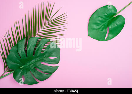 Layout creativo fatto di colorate foglie tropicali su sfondo rosa. Estate minima nozione esotici con copia spazio. Foto Stock