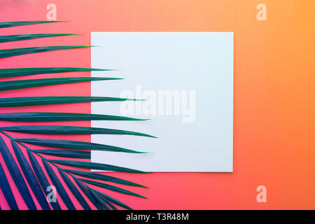 Tropicale di foglie di noce di cocco con il libro bianco carta sul telaio color pastello sfondo.Jungle leaf close up.Botanico concetti di natura.elementi floreali design Foto Stock