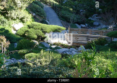 Ponte di legno e il lungomare in Amicizia Giapponese Giardino di Balboa Park Foto Stock