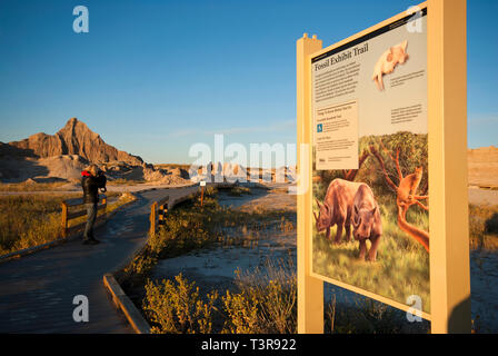 Combustibili presentano Trail nel Parco nazionale Badlands, Dakota del Sud, STATI UNITI D'AMERICA Foto Stock