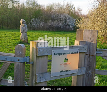 In legno intagliato figura, in legno Grappenhall, off ampia Lane, Grappenhall, Sud Warrington, Cheshire, Inghilterra, Regno Unito Foto Stock