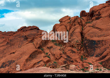 Gli alpinisti sulle colline di Calico di Red Rock Canyon National Conservation Area, Nevada, STATI UNITI D'AMERICA Foto Stock