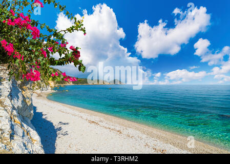 Padulella spiaggia, Isola d'Elba, Toscana, Italia. Foto Stock