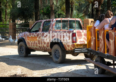 Elche, Spagna - 22 settembre 2019: Safari auto jeep rimorchio pieno di turisti visitatori giostre sul parco zoo, persone guardando gli animali da distanza Foto Stock