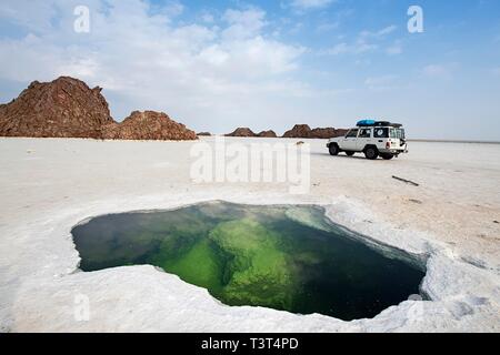 Tour in jeep sul lago Karum, sorgente sotto la crosta di sale nel lago salato, Danakil deserto, Etiopia Foto Stock