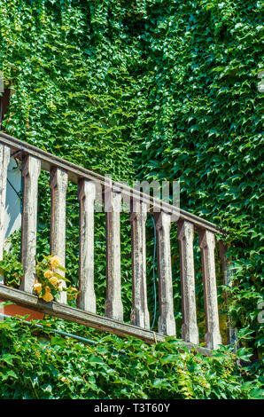 Balcone in legno ringhiera in una vecchia casa ricoperta con uva selvatica Foto Stock