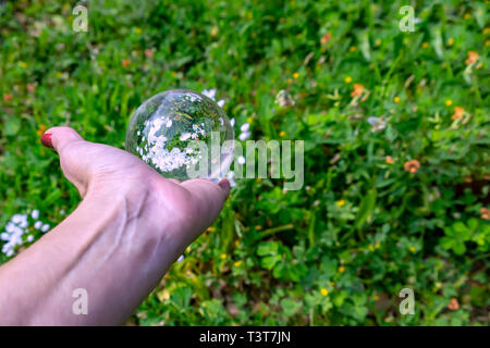 Donna di mano che regge una sfera di cristallo bianco con fiori di riflesso in esso close up Foto Stock