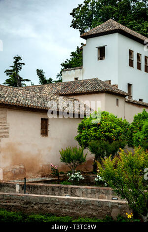 El Generalife (residenza estiva), l'Alhambra di Granada, Spagna Foto Stock