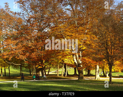 Le persone godono di una splendida giornata autunnale all'Englischer Garten a Monaco di Baviera Foto Stock