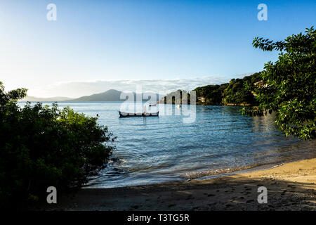 Ponta do Sambaqui Beach. Florianopolis, Santa Catarina, Brasile. Foto Stock