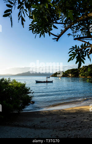 Ponta do Sambaqui Beach. Florianopolis, Santa Catarina, Brasile. Foto Stock