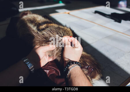 Professional sarto, designer riparazione di pelliccia all'atelier, studio. La moda e il concetto di sartoria. Foto Stock