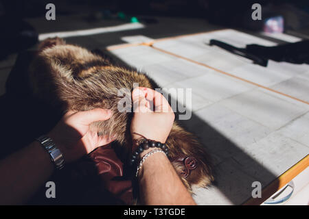 Professional sarto, designer riparazione di pelliccia all'atelier, studio. La moda e il concetto di sartoria. Foto Stock