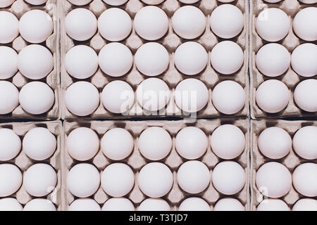 Uova di gallina in innocuo, imballaggi in cartone su uno sfondo bianco. Foto Stock
